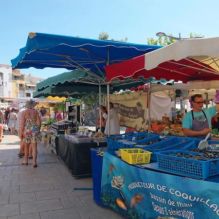 Appartamento Moderne Mit Meerblick By Interhome Agde